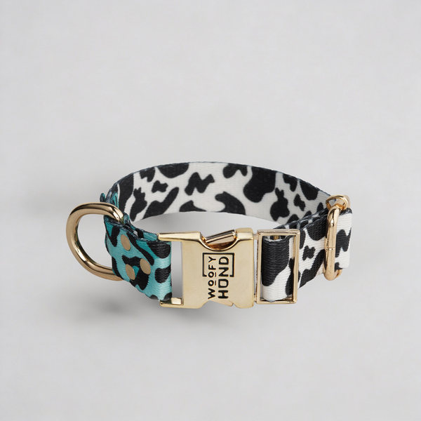 Hundhalsband Aqua Camo