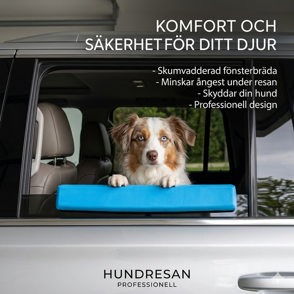 Hakstöd för bilfönster för hundar